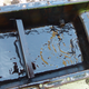 Illustration for article titled Heres What The Inside Of A Neglected World War II Jeep Engine Looks Like